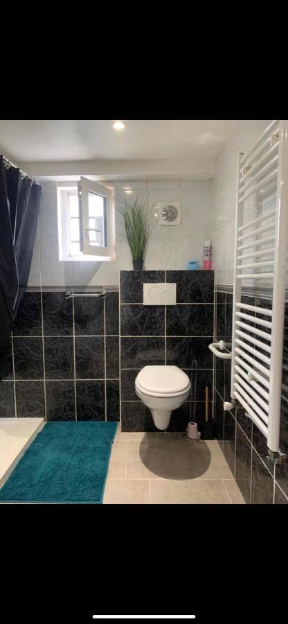 Convivialetzen Daire Chatenoy-le-Royal Dış mekan fotoğraf